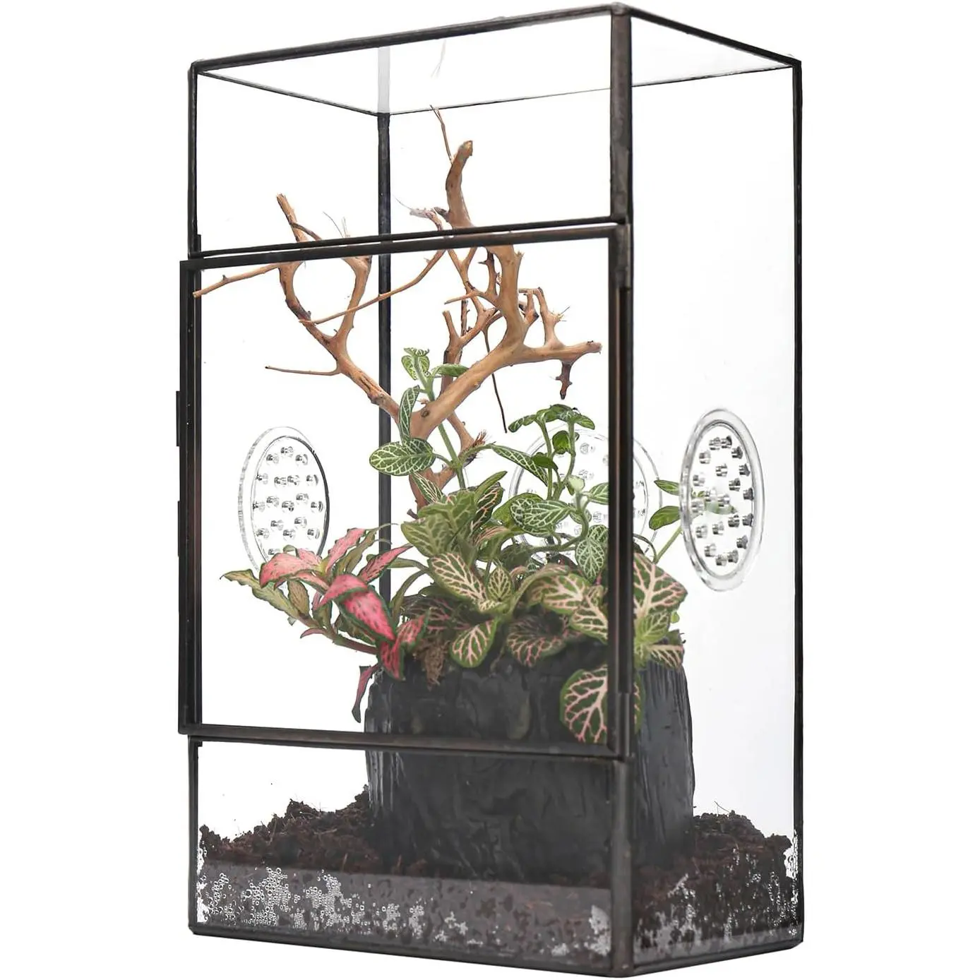 Rectangle Glass Terrarium for Large Spiders - Single Unit Front Opening Door Enclosure with Vent Holes, Snails/Insects Habitat, Black (Terrarium Only, Suitable for Living Room, Office)
