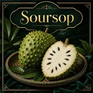 30 Soursop Fruit Seeds – Easy to Grow Tropical Graviola Tree, High Germination Rate, Year-Round Planting, Juicy Exotic Superfruit for Home Garden Indoor Outdoor