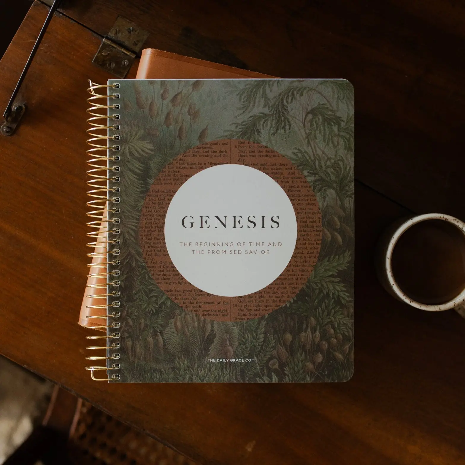 Genesis Bible Study Genesis Bible Study