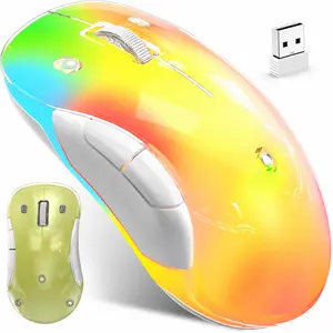 HALOKIN RGB Wireless Mouse, Rechargeable Gaming Mouse for Women, Cute Aesthetic Desk Accessory, DIY Customizable Cover, Silent Ergonomic Mouse for Laptop, MacBook, PC, Work From Home Setup