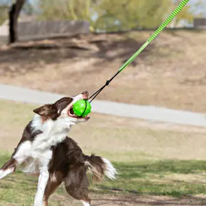 Jolly Pets Tree Tugger  – Interactive Outdoor Bungee Tug Toy for Dogs