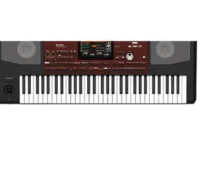 Korg Pa700 61-Key Arranger Workstation, Professional Electronic Organ for Musical Performance & Hobby Use