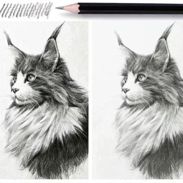 Pencil Set Drawing and Sketching Materials, Artist Painting, Art Supplies with Sketching Pencils Graphite and Charcoal for Adult Professionals, 31 Pieces zipper case pretty gift