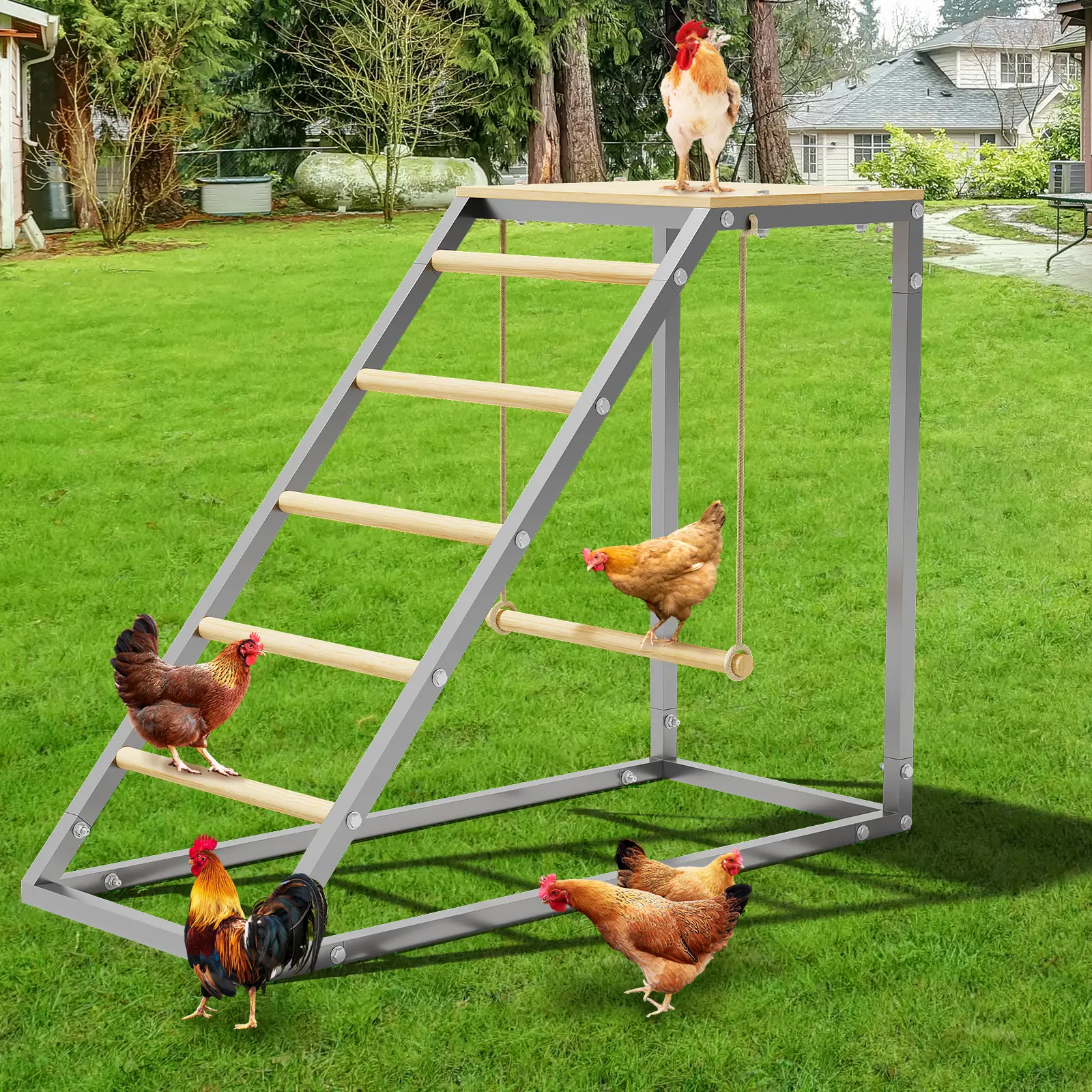 YJ-Garvee Chicken Perch for Coop with Wooden Ladder, Roosting Bars for Chicken in Coop, Chicken Roosting Bars for Farm Backyard Poultry, Easy Assemble & Clean
