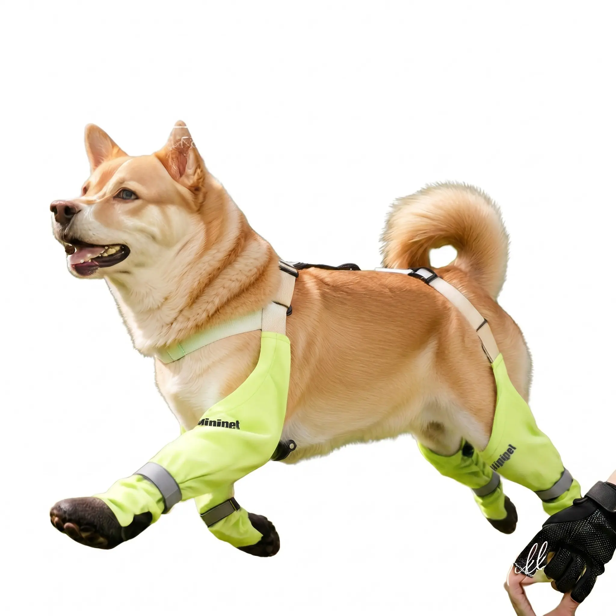 Hippie Style Dog Pet Boots, Four-Leg Straps Design, Non-Slip Anti-Drop, Outdoor Shoes for Medium to Large Dogs, Paw Protection, Puppy Shoes, Supplies