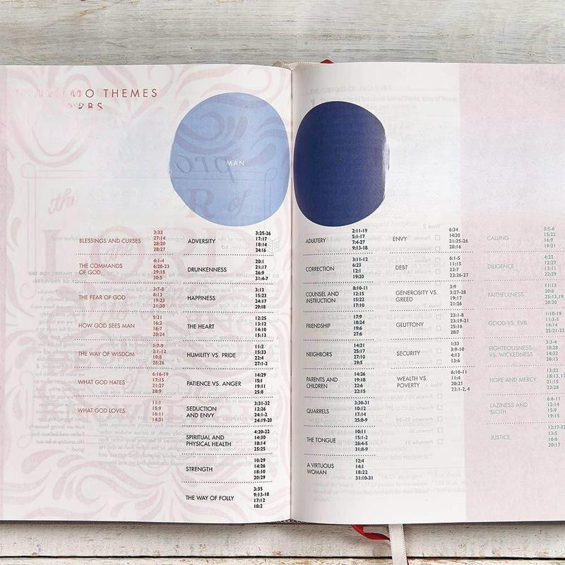 CSB She Reads Truth Bible, Gray Linen Cloth Over Board, Black Letter, Full-Color Design, Wide Margins, Notetaking Space, Devotionals, Reading Plans, Easy-To-Read Bible Serif Type Hardcover – April 15, 2017