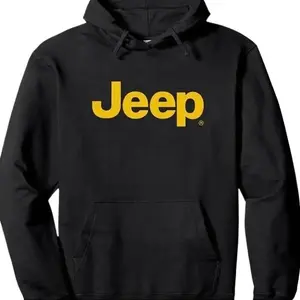 Iconic Distressed Logo Pullover Hoodie