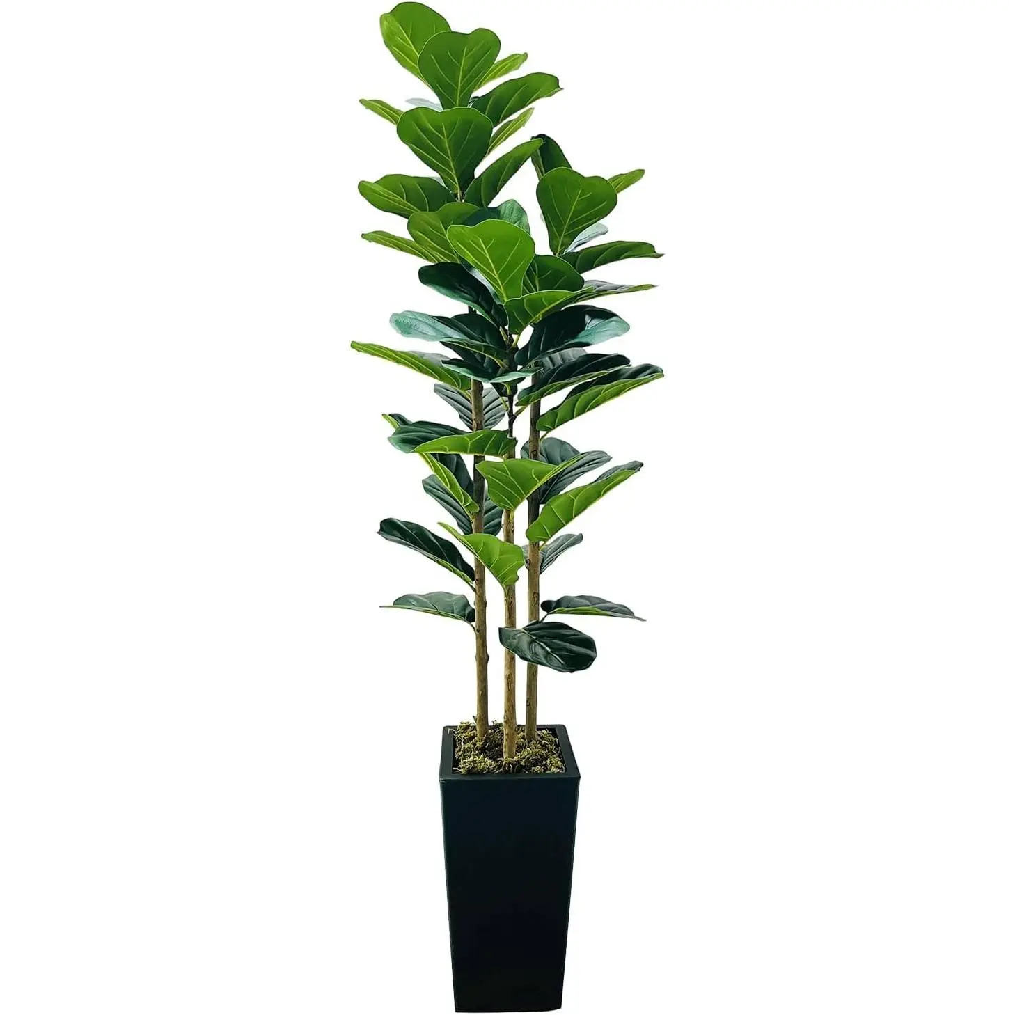 GARVEE 150cm (5ft) Plastic Tall Artificial Fiddle-Leaf Fig Tree, 3-Stemmed Decor Piece with White Shatterproof Pot, Realistic Leaves, Easy-Care Indoor Natural Look Houseplant