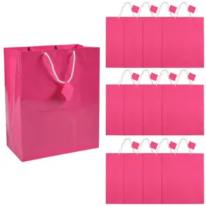 12" x 14 1/2" Extra Large Bright Pink Gift Bags with Gift Tag - 12 Pc.