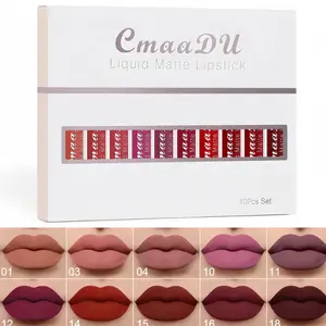 10 Pcs Liquid Matte Lipstick Set - Waterproof and Long-Lasting Cosmetic Lip Tint with a High-Pigment Velvet Finish, Nude to Burgundy Shades, Lip Care