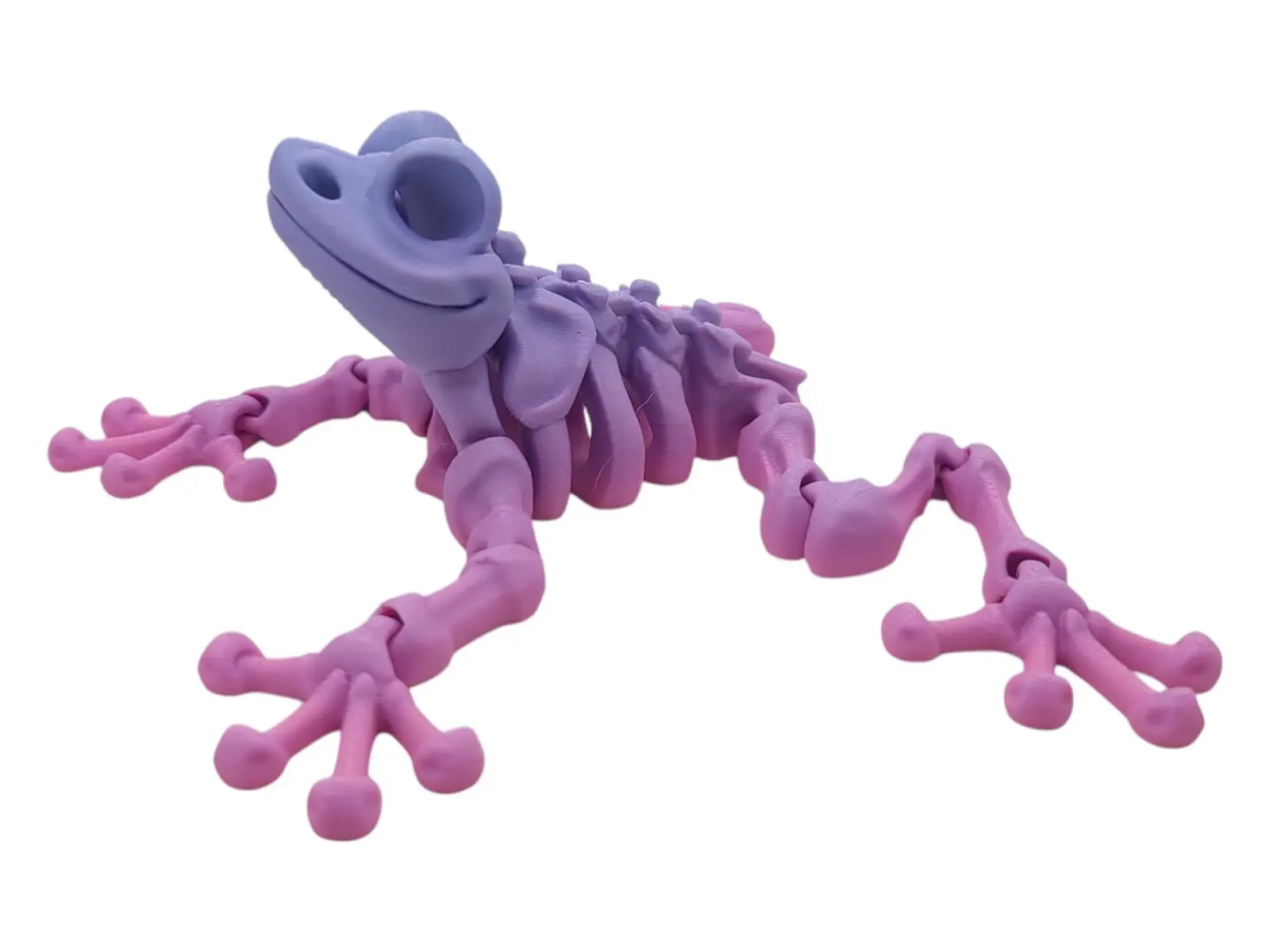 Flexi Skeleton Frog ~ 3D Printed Articulated ~ Halloween Decor ~ Desk Toy ~ Gift