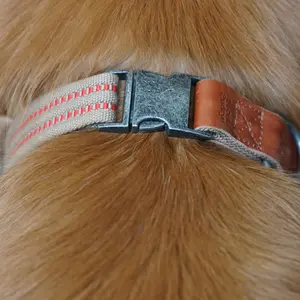 Accent Stitch Collar