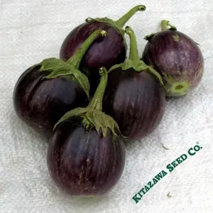 Eggplant Seeds - Purple Thai Round (Organic)