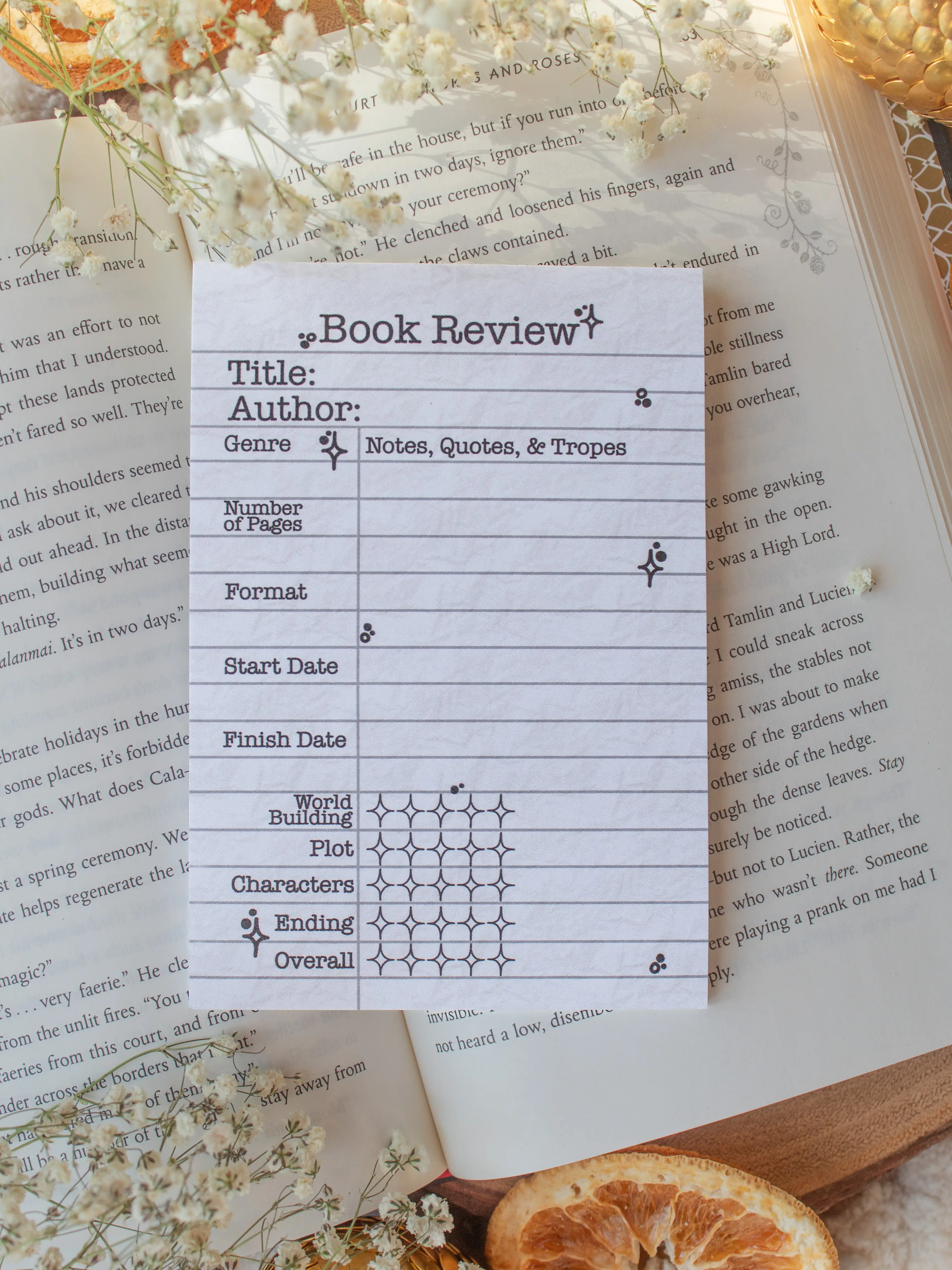 4x6 Book Review Post-It Notepad