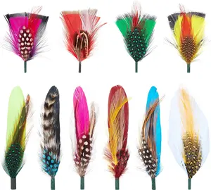 Hat Feathers, Assorted   Packs Accessories for Fedora Cowboy Hats, Pork Pie Trilby Hats