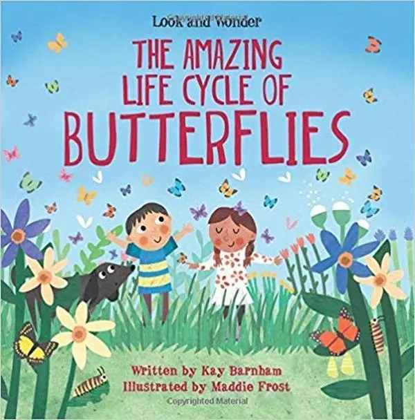 USED Book - Look and Wonder: The Amazing Life Cycle of Butterflies by Kay Barnham (Paperback)