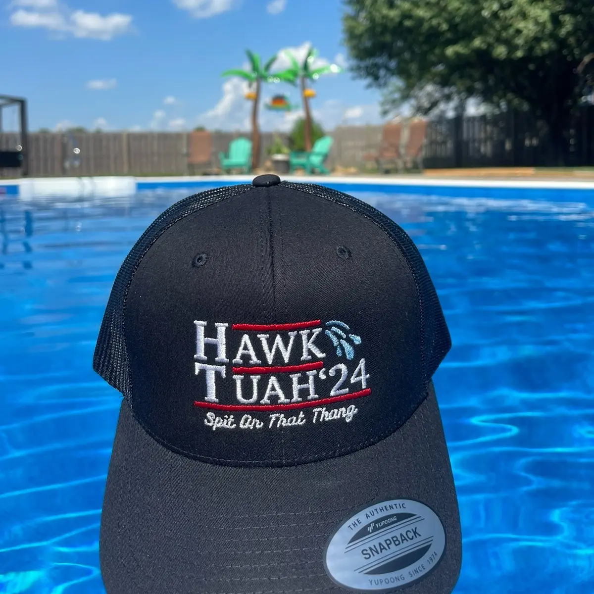 That Hawk Tuah SnapBack  hat
