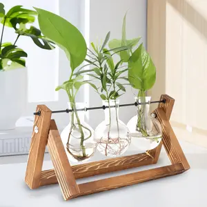Glass Desktop Planter with Retro Wooden Stand and Plant Terrarium vase (3 Bulbs) for Indoor Office Desk Decor Accessories