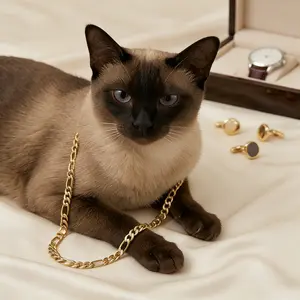 Shiny Gold Chain Pet Collar Fashionable Neckwear For Cats And Dogs