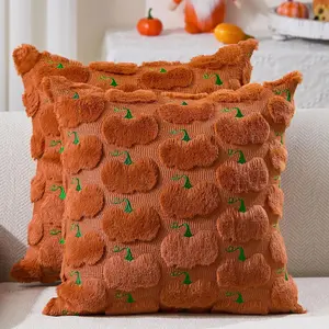 Fall Pillow Covers 20x20 Set of 2 Fall Decorations Autumn Rust Big Pumpkin Throw Pillow Cases Soft Plush Faux   Couch Cushion Case for Chair Sofa Living Room  Decor PTK044C20