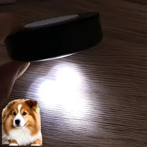 Pet Mini LED Night Light, Battery Powered Touch Pet Night Light Stick Touch Touch Light Stick Closet Push Light, Self Adhesive Push Light LED Battery Powered Night Light, Pet