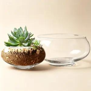 Set of 2 Round Clear Glass Vases - Decorative Bowls for Floral Arrangements, Terrariums, and Succulents, Bubble Vases and Centerpieces for Home or Wedding Decor, Reusable Planters for Flowers and Plants