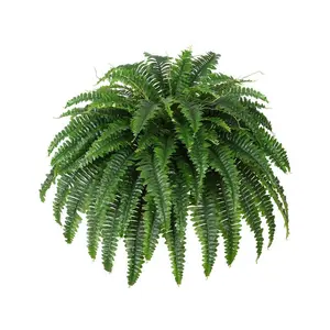 Artificial Fern Plant, Faux Fern Plant, Decorative Plant for Home Garden Decoration, Fake Plant for Home Decor, Home Garden Supplies, Fruit, Fake Indoor Plants