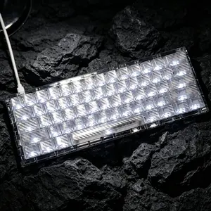 Carbon Fiber Transparent Side-Legend Weave Pattern Keycaps, 119 Keys, High Transparency & Light Transmission, Compatible With Magnetic & Mechanical Switches, Custom Replacement Keycaps For Gaming & Daily Use (Keycaps Only, No Keyboard Included)