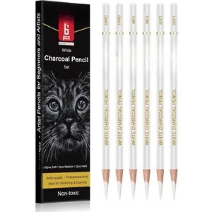White Charcoal Pencils Drawing Set, Professional 6 count White Sketch Pencils for Drawing, Sketching, Shading, Blending, Chalk for Beginners & Artists