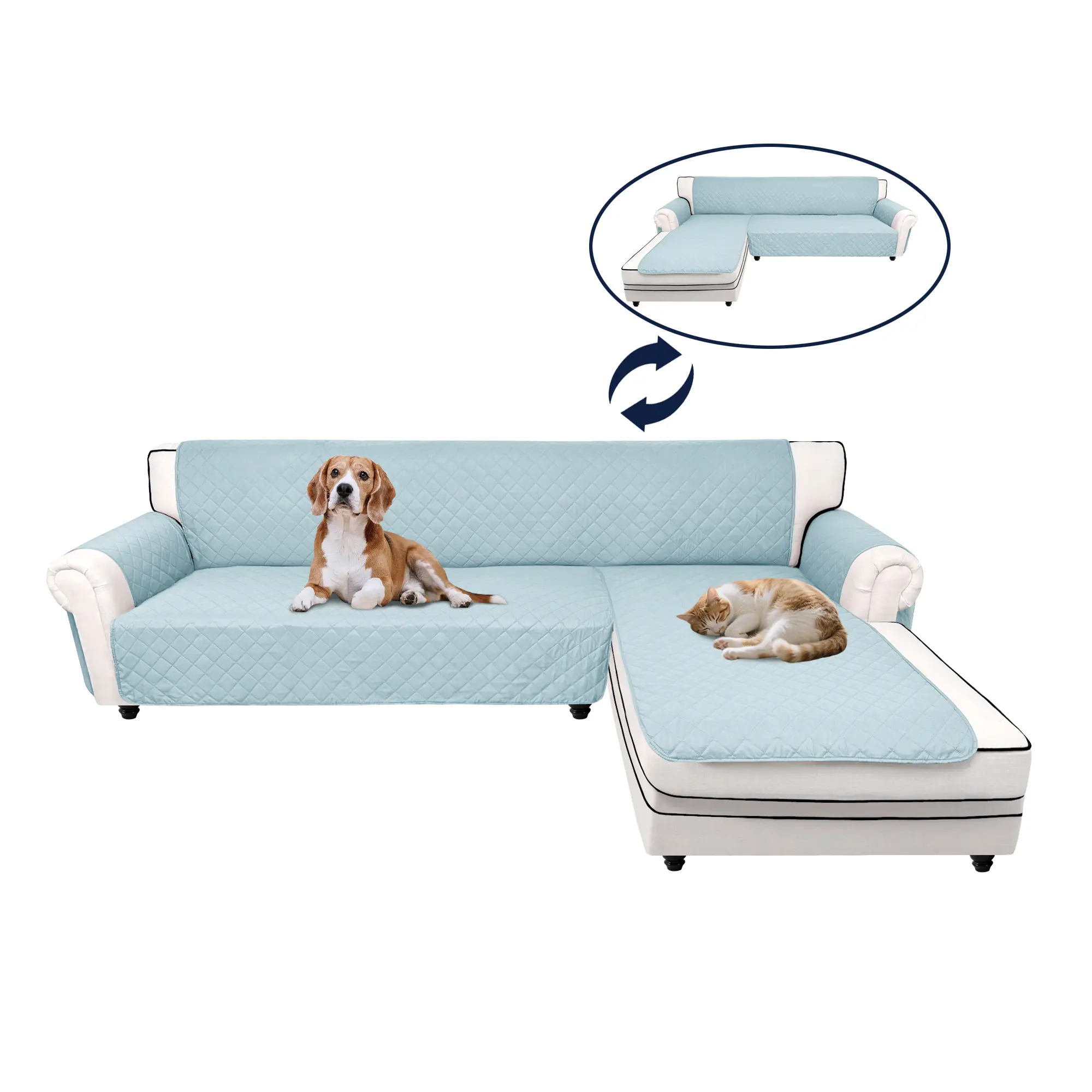 Light Blue/Light Blue