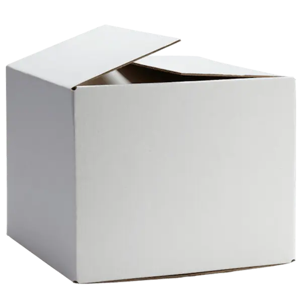Blank Shipper Boxes (12 Pack)
