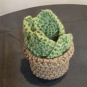 Plant Coaster Set