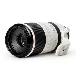 Canon RF 100-500mm F4.5-7.1 L IS USM Lens