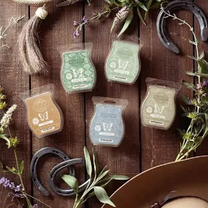 Scentsy Sale - Explore Our Selection of Unique Aroma Experiences with Great Prices & Ready to Buy Options