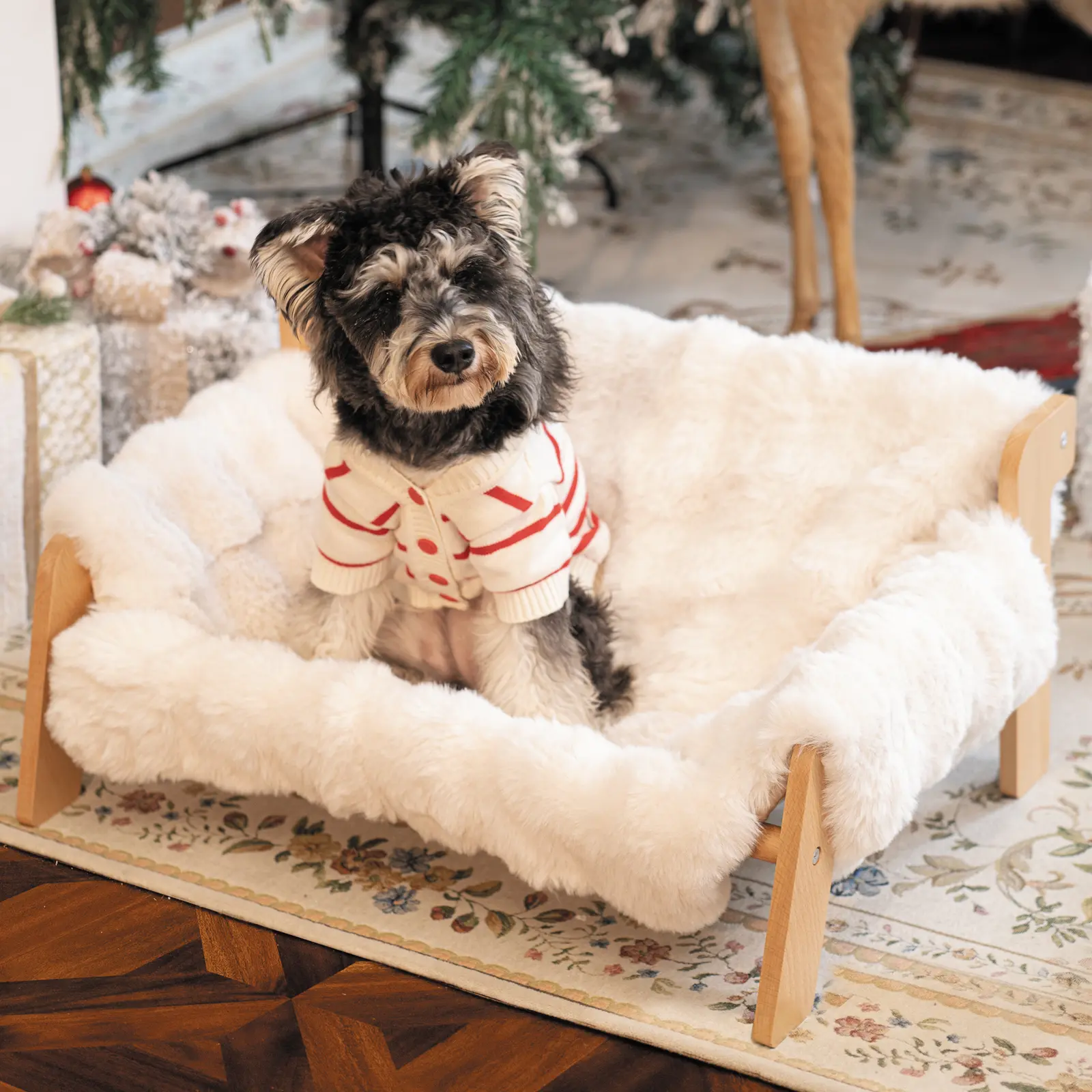 Raised Pet Sofa Bed for Indoor Cats & Small Dogs - Durable Solid Wood Frame, Fluffy Washable Cushion, Machine-Washable Modern Pet Furniture Lounge Chair