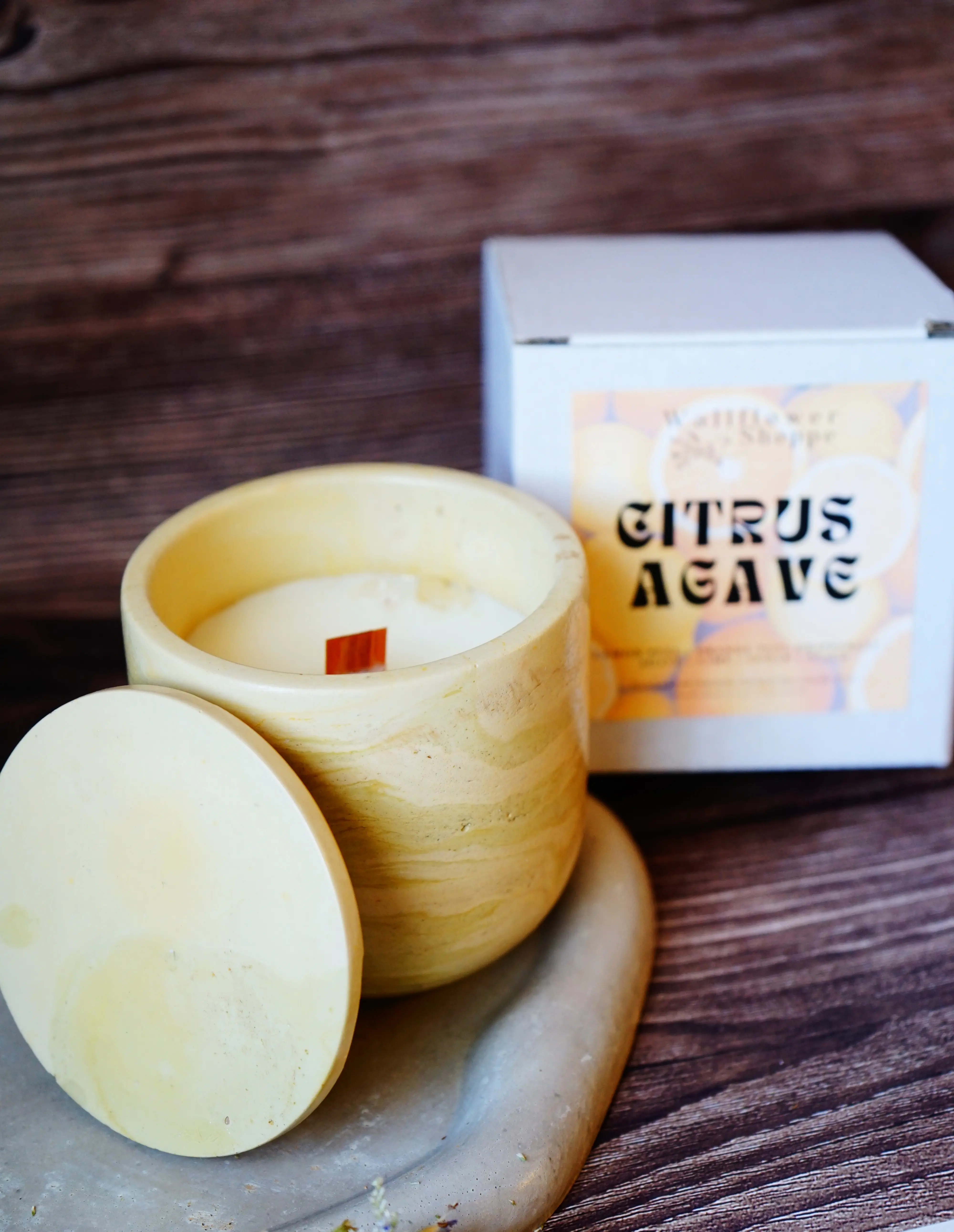 Citrus Agave Concrete Candle
