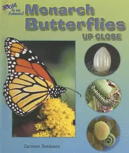 USED-Monarch Butterflies Up Close (Zoom in on Animals!) by Carmen Bredeson (Unknown)