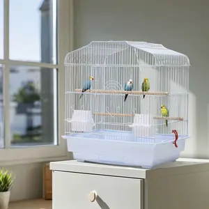 Small Bird Cage, Parrot Cage with Perches, Food Bowls, Swing & Removable Tray, White Wire Bird Travel Box for Home, Outing