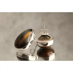 Guardian’s Gaze - Tiger's Eye 925 Silver Stud Earrings