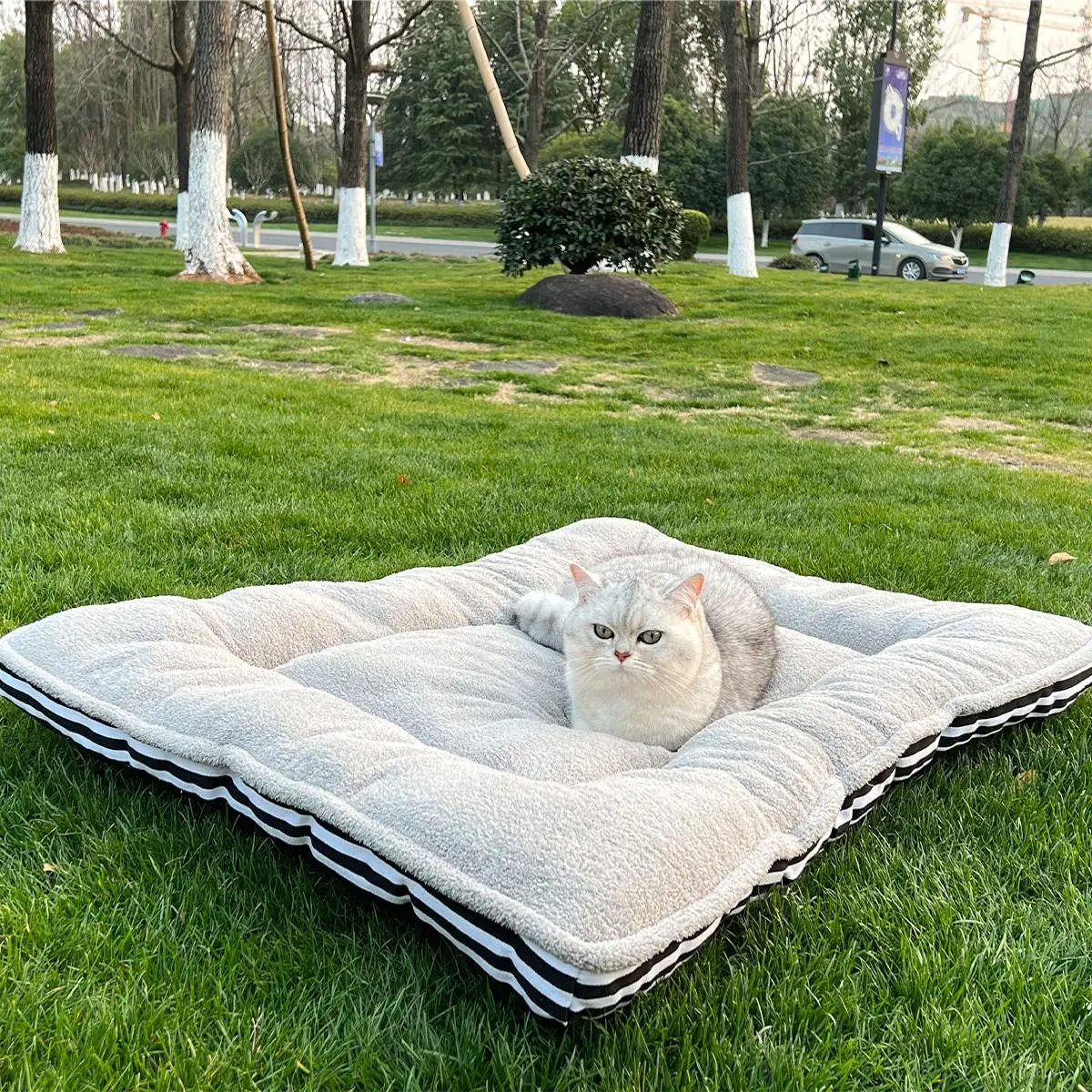 Pet Bed, Soft Plush Cat Bed, Pet Sleeping Mat, Outdoor Essential Items for Pets, Pet Accessories