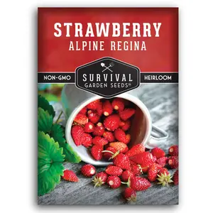 Alpine Regina Strawberry Seeds - Wild Strawberry