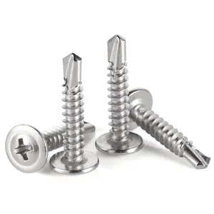 Stainless Steel Phillips Truss Head Self-drilling Tek Screw, 100pcs/set Self Tapping Screws Sheet Metal Screws for Spring, Multifunctional Stainless Steel Phillips Self-Drilling Screw, Hardware, Industrial
