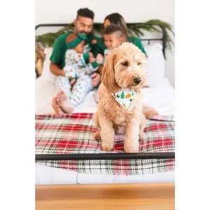 PET BANDANA- The World of Eric Carle™ BEARY CHRISTMAS