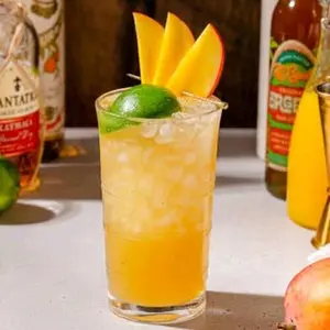 Sweet Mango Mai Tai | Candles & Wax Melts