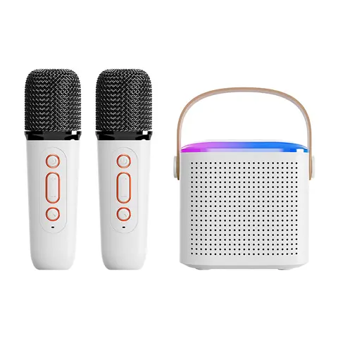 Portable Bluetooth Karaoke Stereo Speaker with 2 Cordless Mics, LED Light, Batteries, USB Type-C - Family Home Party Device, Compatible with All Smartphones, Portable Speakers