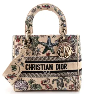Pre-owned Dior Raffia Top Handle Bags Christian Lady D Lite Bag Embroidered Medium by Rebag