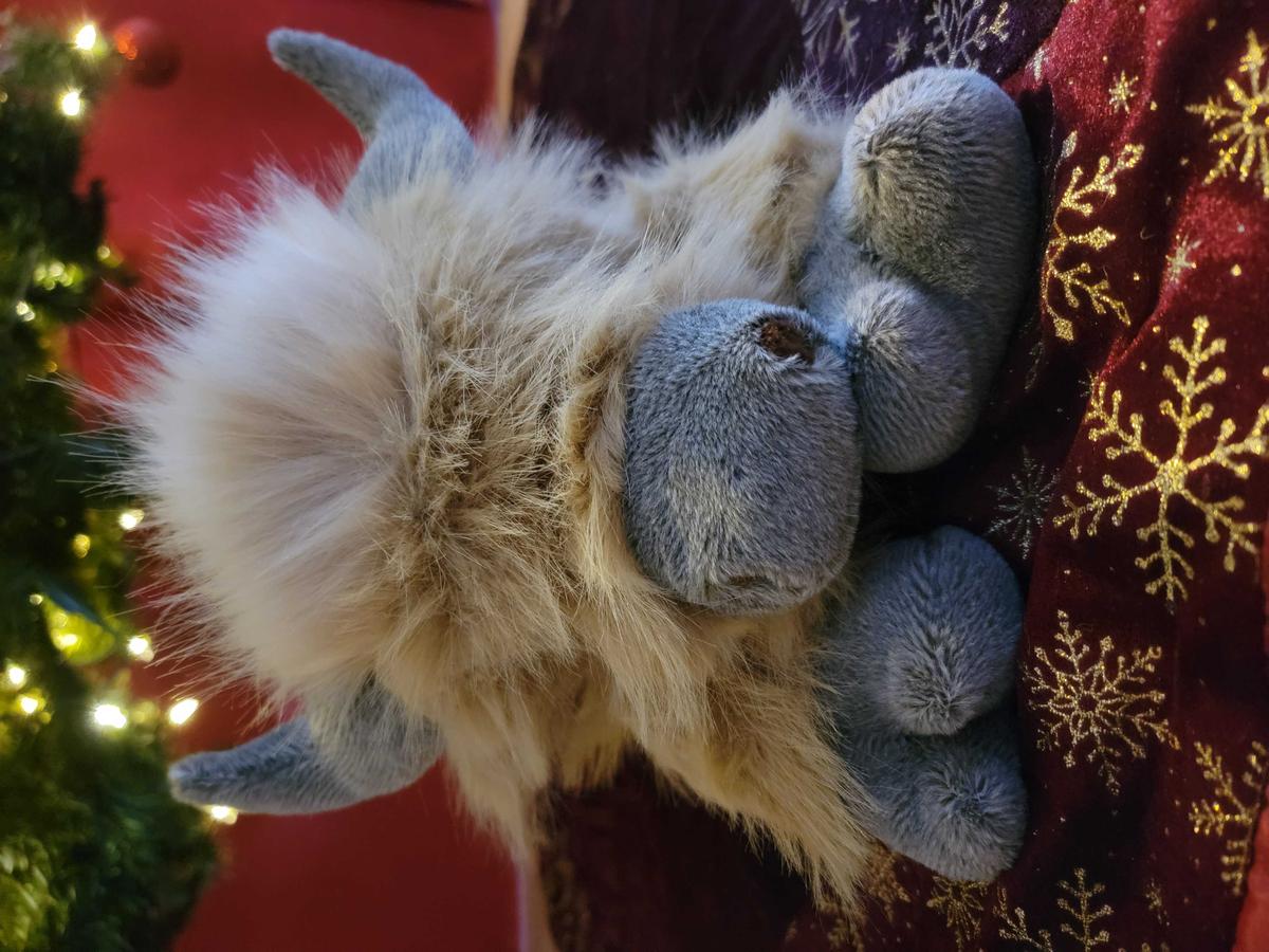 Item: Highland Cow, 20" | 4 Pounds