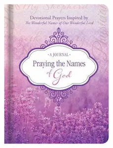 USED-Praying the Names of God Journal: Devotional Prayers Inspired by the Wonderful Names of Our Wonderful Lord by Blackmore, Leanne (Hardcover)