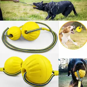 Interactive Dog Toy Ball with Rope Durable Chew Toy Eva Elastic Float for Dog Training and Play Supplies