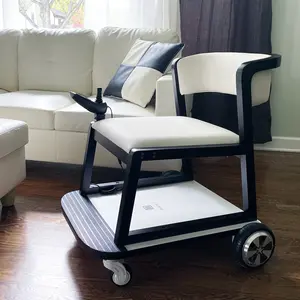 ZiiLIF FurniBOT C1 Smart Chair Stylish for Indoor Mobility